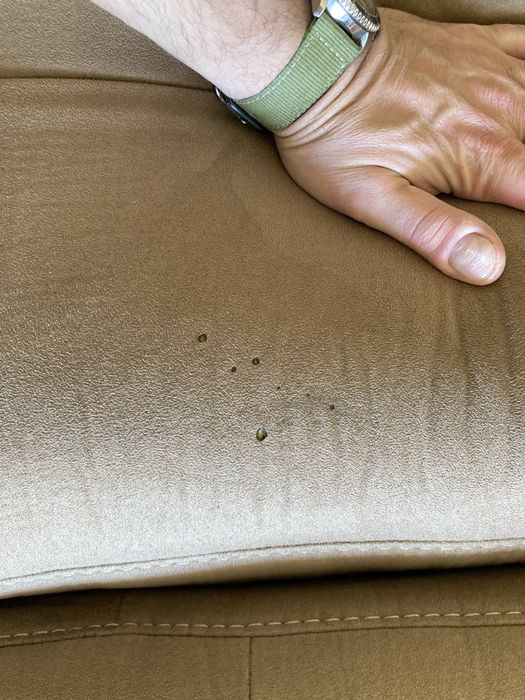 Диван холивуд 275/220