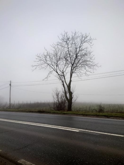 Vand teren Vanatori DN26