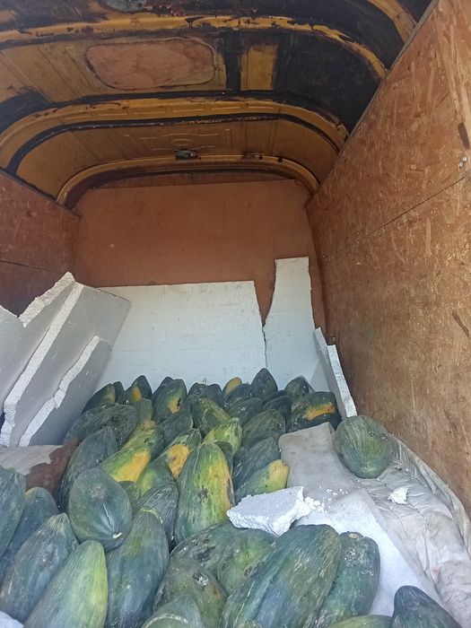 Мерседес грузовой