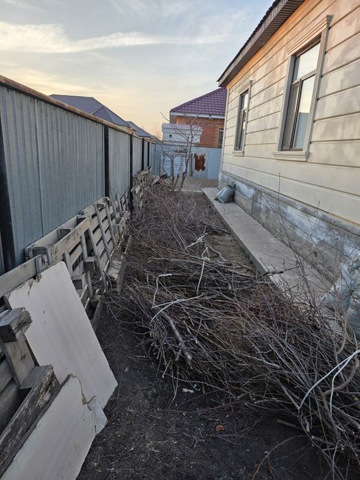 Отдам бесплатно дрова