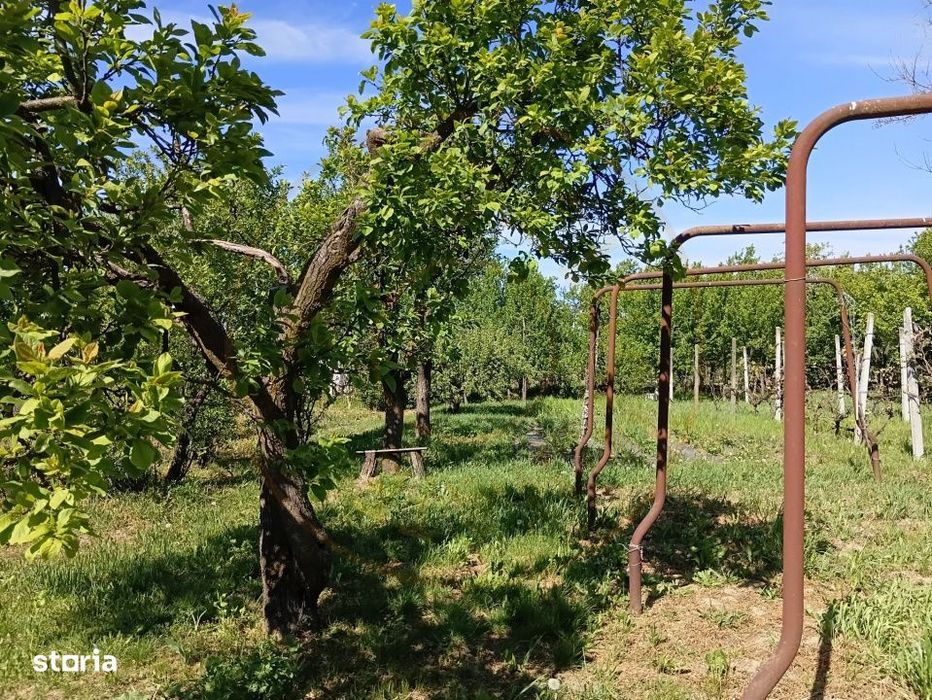 De Vanzare Casa Culciu Mare Satu Mare