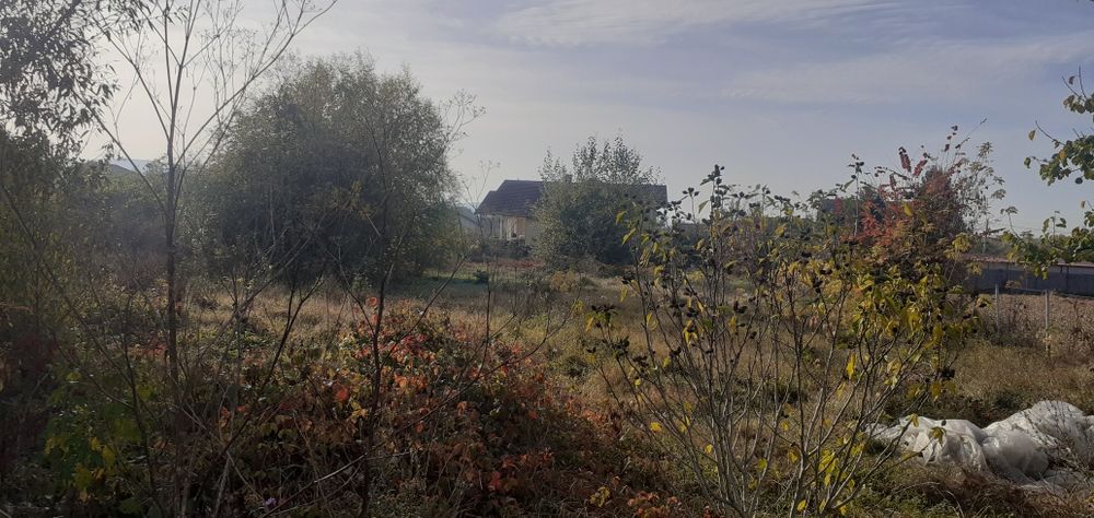 Teren de vanzare 3200 mp in Oarda de Jos str Pepinierei