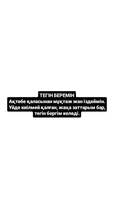 Ақтөбе қаласынан мұқтаж жан іздеймін. Үйде киілмей қалған, жаңа заттар