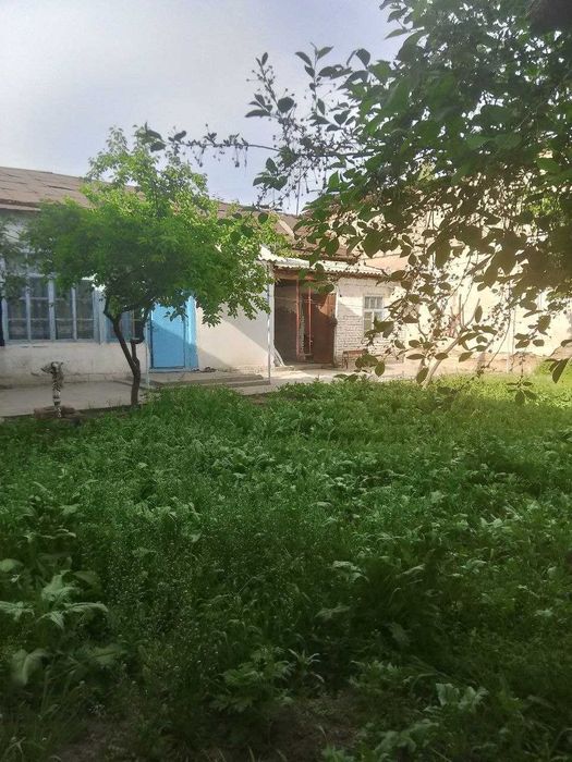 Xovli Sotiladi 3,6  sotxli 3 ta xona va alohida oshxonasi bor