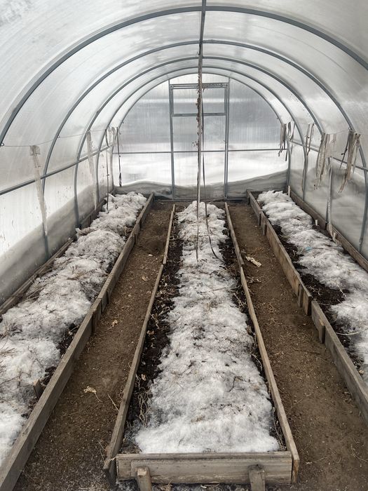 Дом на одного хозайна