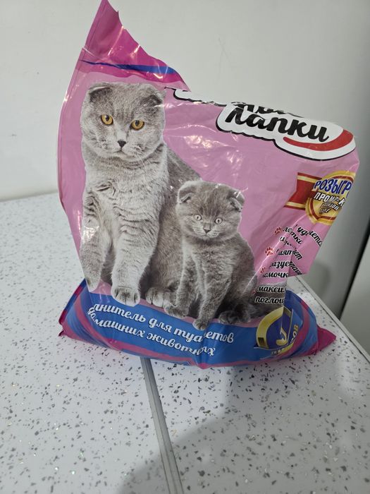 Мысық сатамын барлық заттарымен