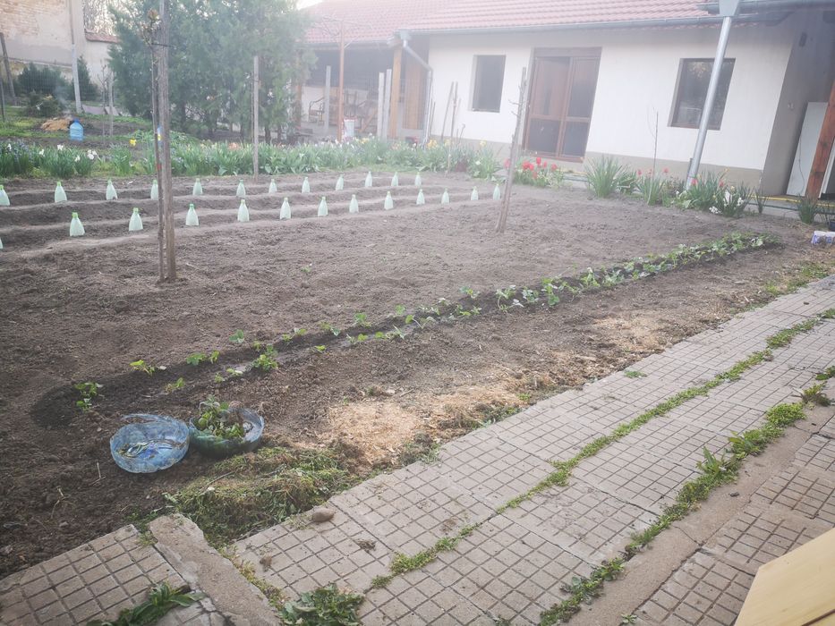 Продава се Къща в Долни Дъбник - 50 кв.м за 900 €/кв.м - Снимка #11