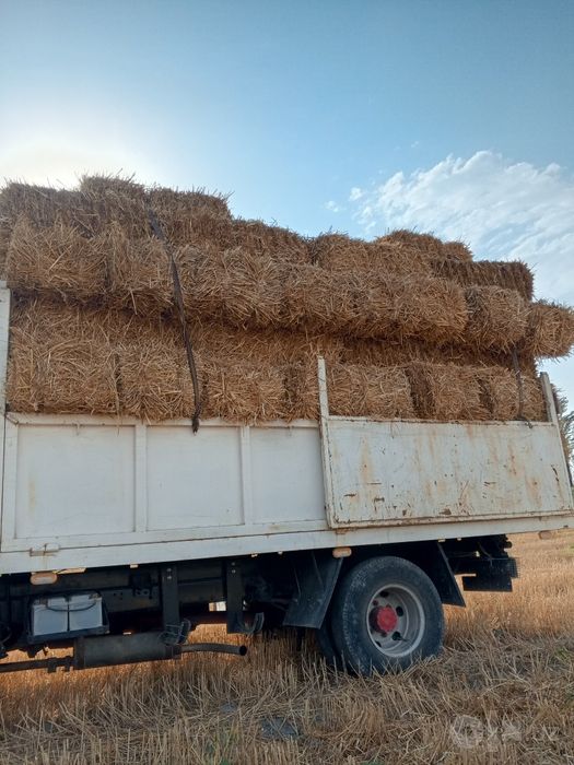 Isuzu samasval otayol samasval