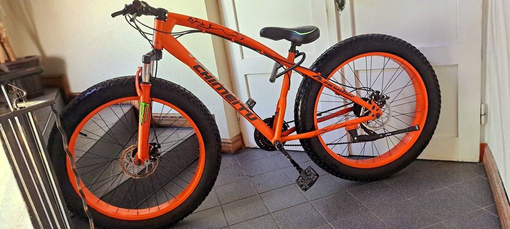 Bicicleta Fat Bike - Newtonstein
