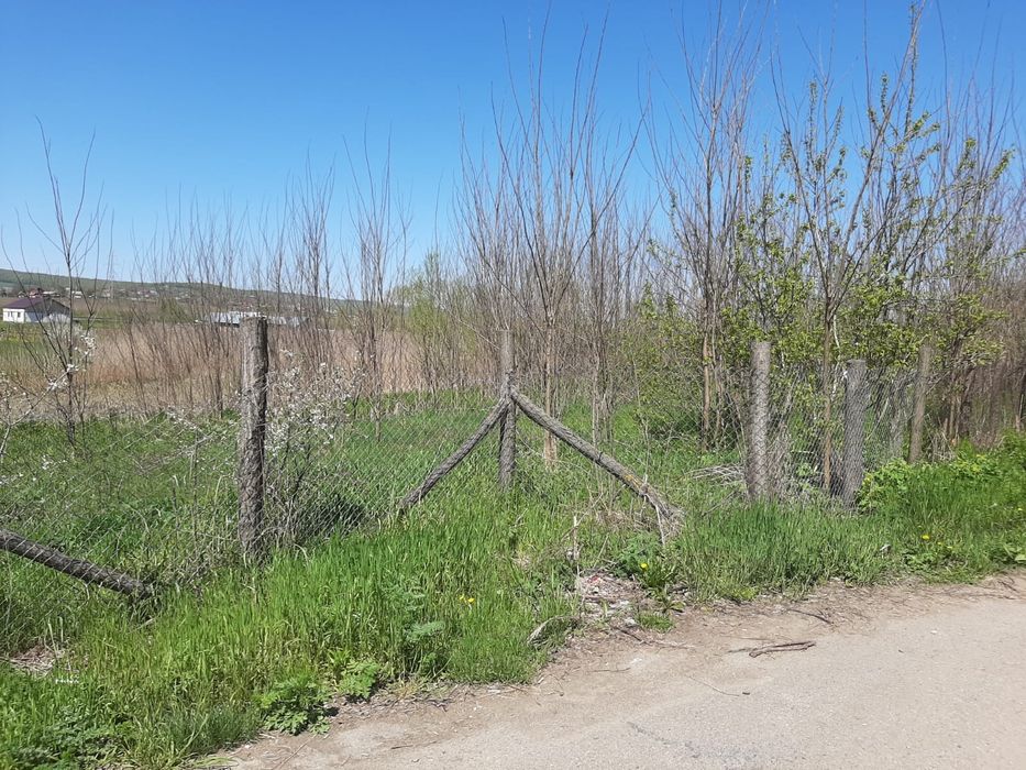 Teren intravilan 15.000 mp – acces dublu asfaltat, jud. Iasi