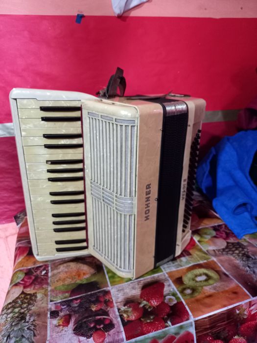 Vand acordeon Hohner Verdi 2 80 basi
