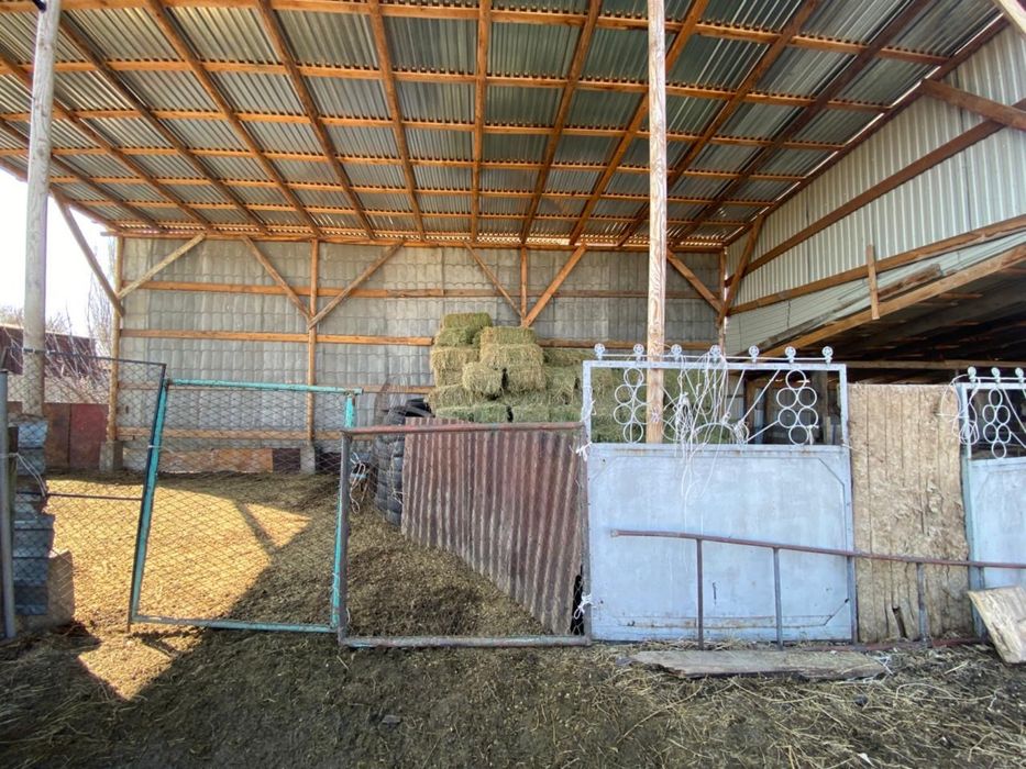 Продам уютный дом