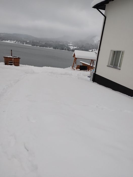 Cazare Cabana Vila Colibita