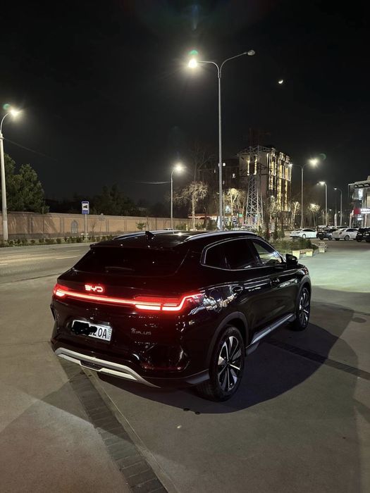 byd chempiyon restalin 2024