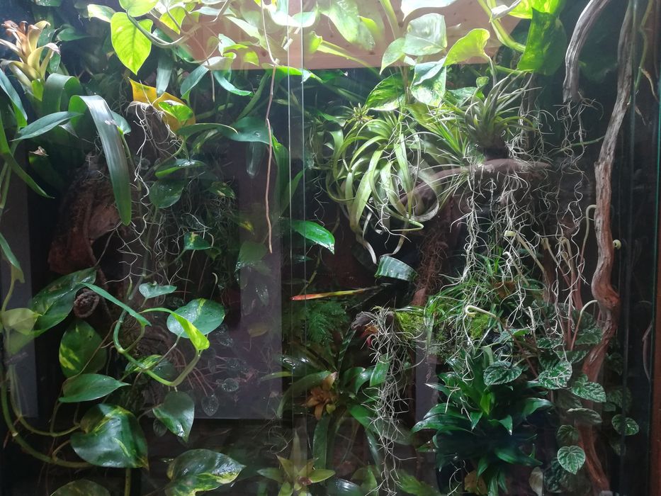 ПОДДРЪЖКА и ИЗРАБОТКА на аквариуми по поръчка