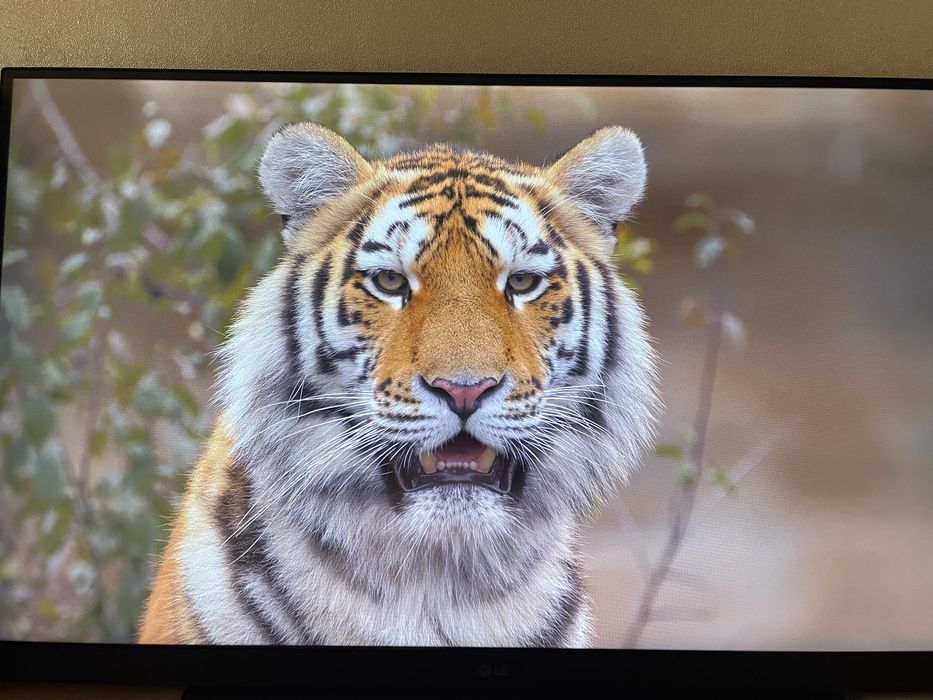 Монитор lg32gn600 ULTRA GEAR