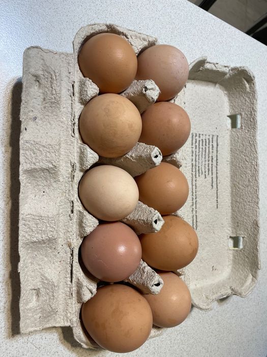 Oua proaspete  de vanzare