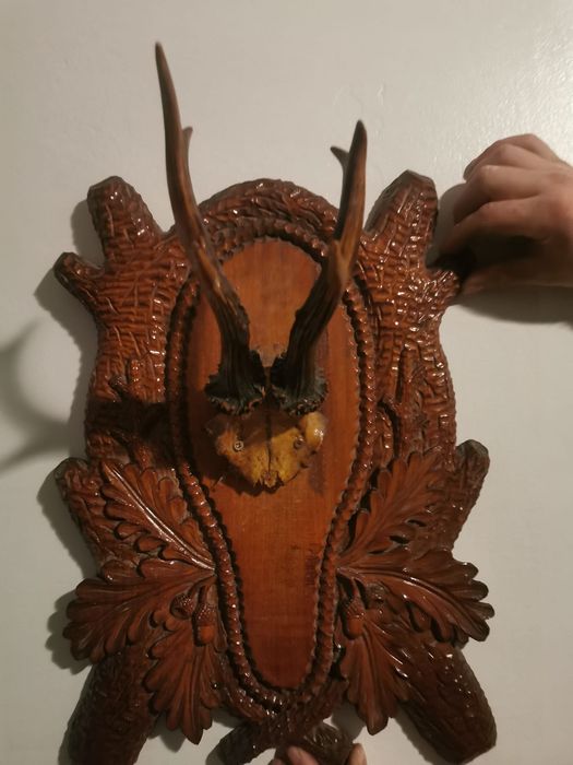 Vând trofee vânătorești!