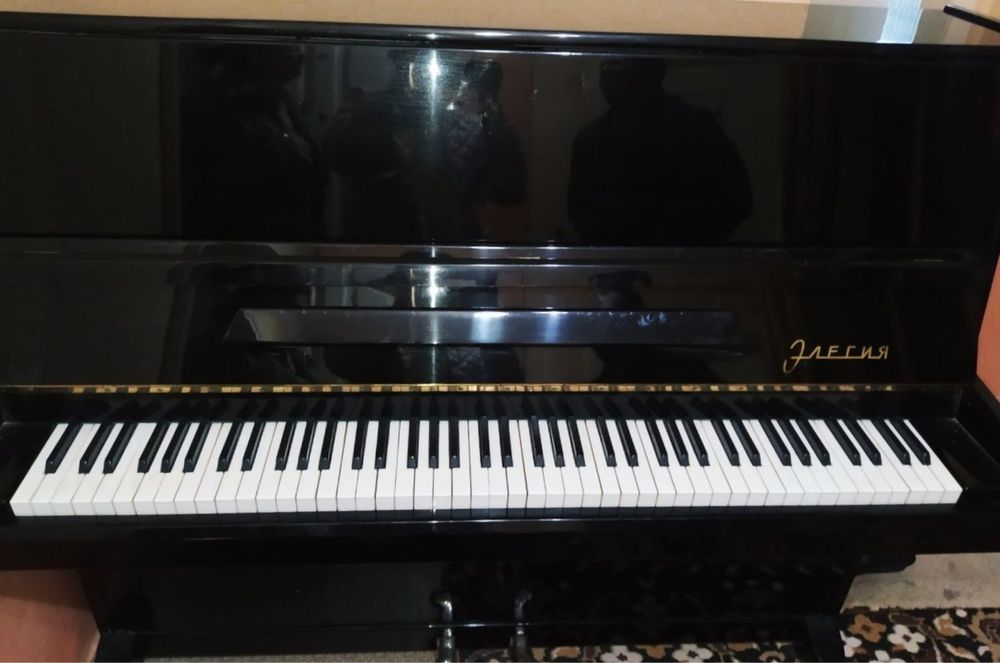 Пианино Элегия. 600 $.