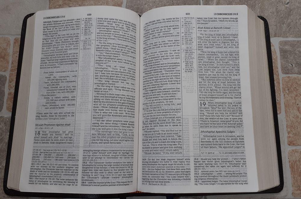 Biblie in engleza NIV