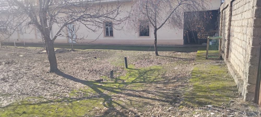 Xovli sotiladi joy sergilida