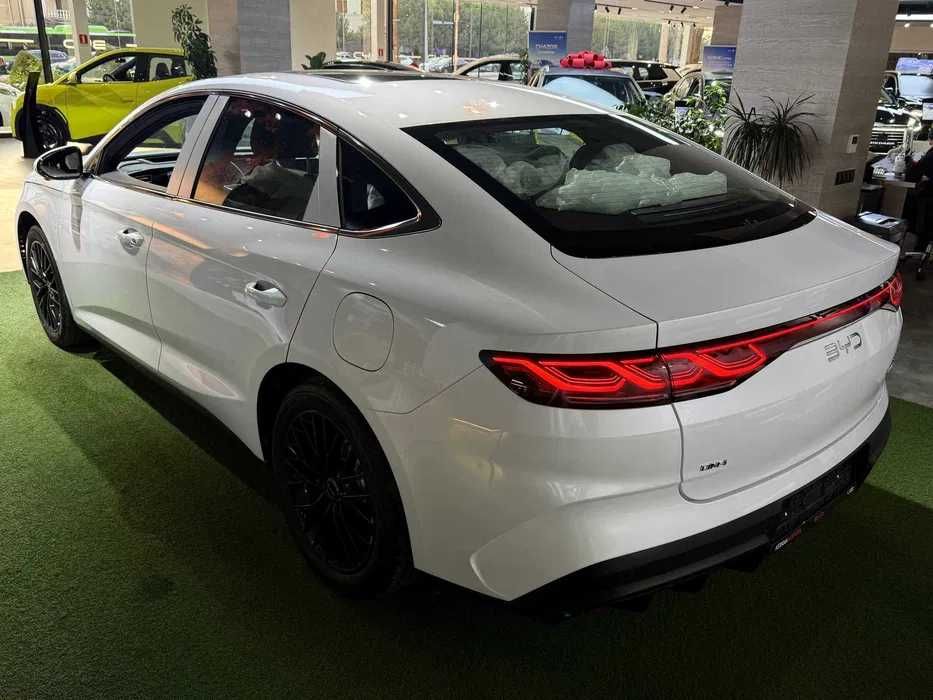 seal 6 byd dm 120 flagship