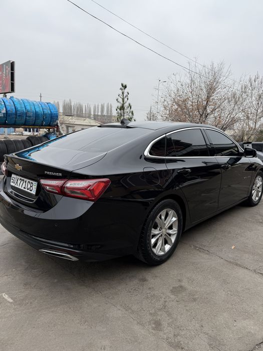 malibu kraska tozza idyal