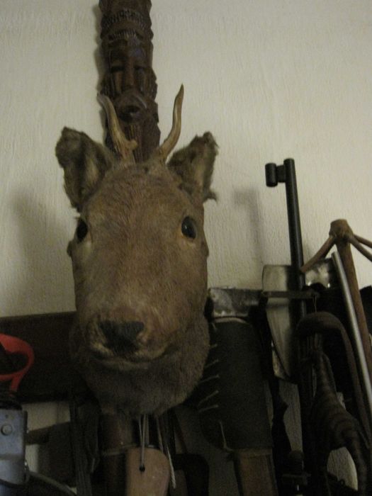 Ловен Трофей Сръндак!