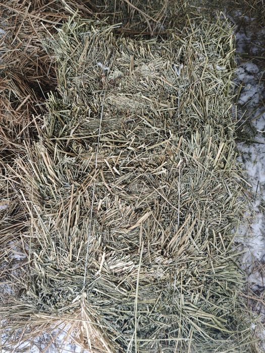 Сено Эспарцет - Разнотравье