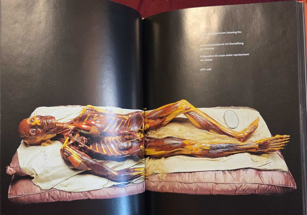 Encyclopaedia Аnatomica