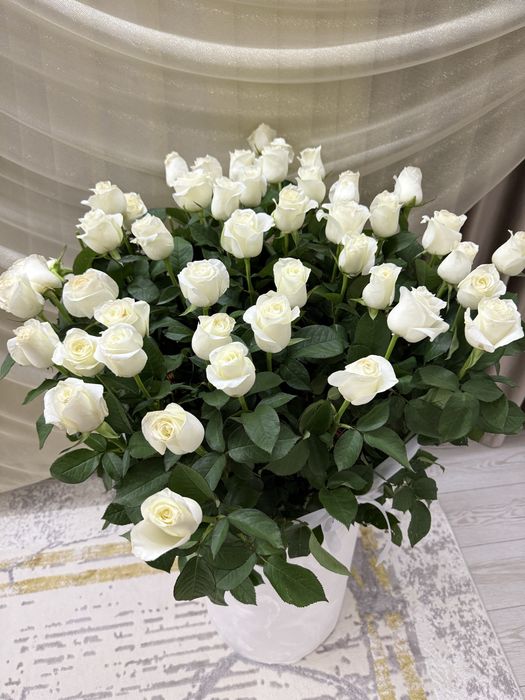 51 роза голландские