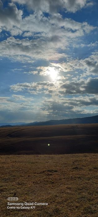 Туризм трансфер и.т.д