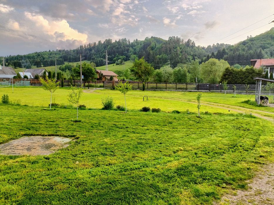 Cabana Sacuieu Vladeasa cu ciubar