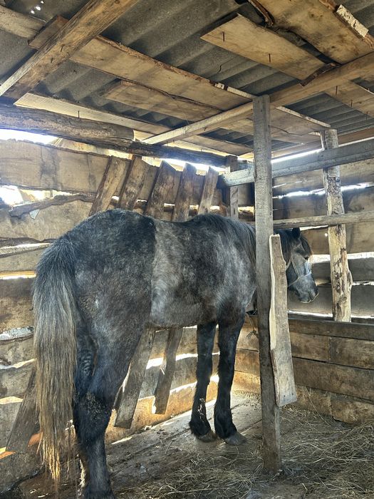 Продаётся байтал