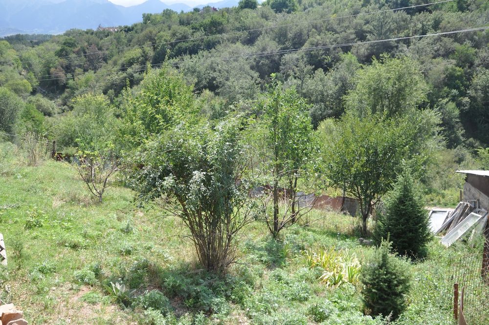 Продам или сдам КХ