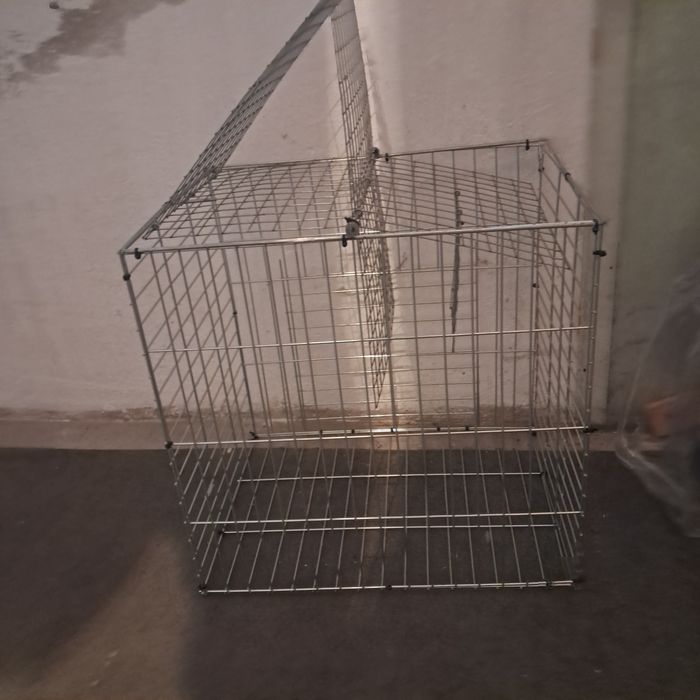 Капан за птици, гълъби