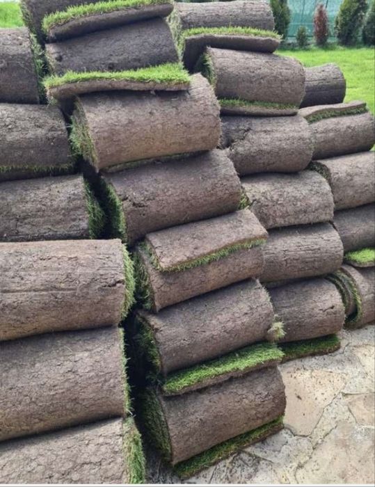 Gazon Rulou de Elită- Transport si Montaj Inclus
