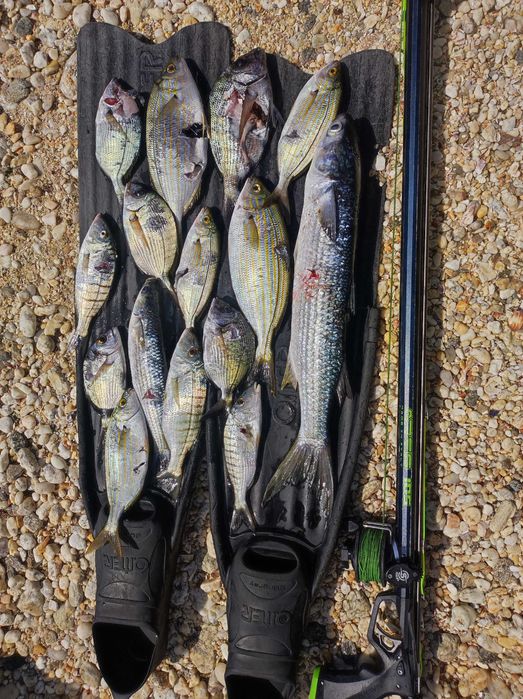 Харпун Salvimar Ares 105 см.