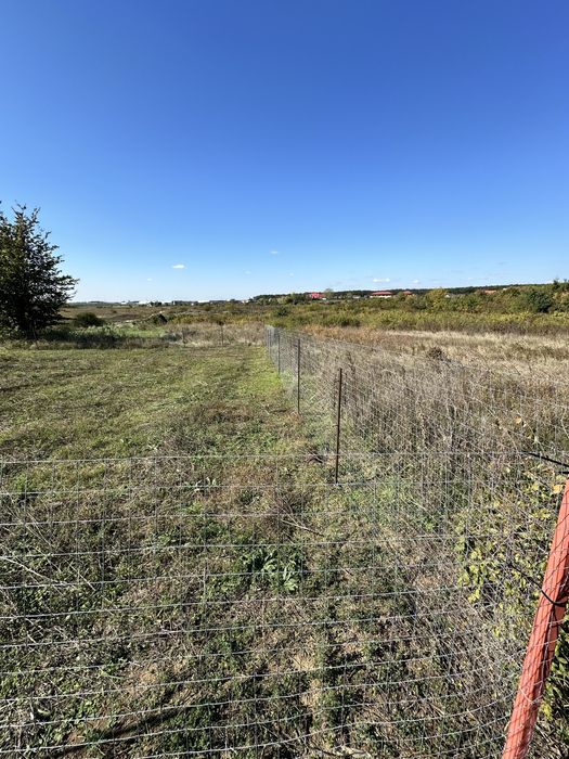 Teren Mogosoaia 624mp (proprietar)