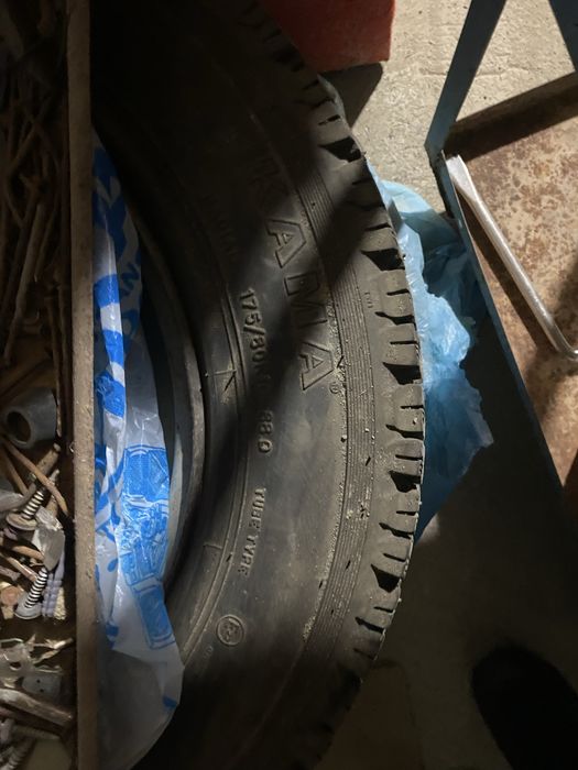 Нивага донгелек бар