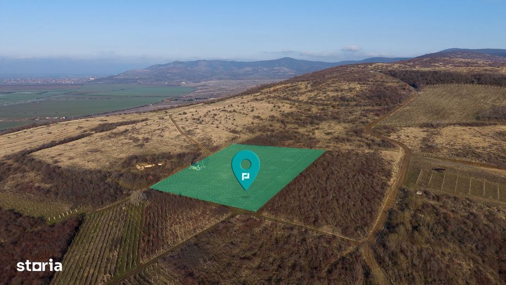 Vita-de-vie Premium  teren de 6800 mp în Covăsinț
