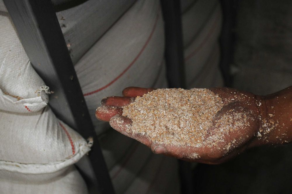 Porumb vrac/sac Grau Orz Ovaz Tarate Grau Floare Mazăre AmestecCereale