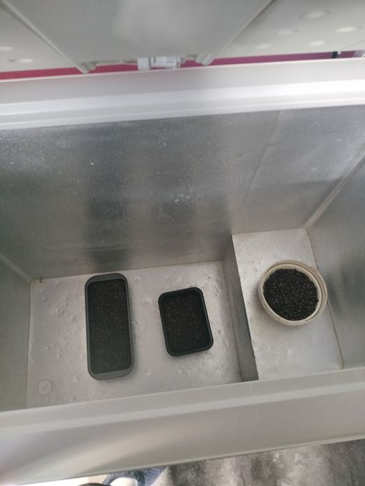 lada frigorifica Myria