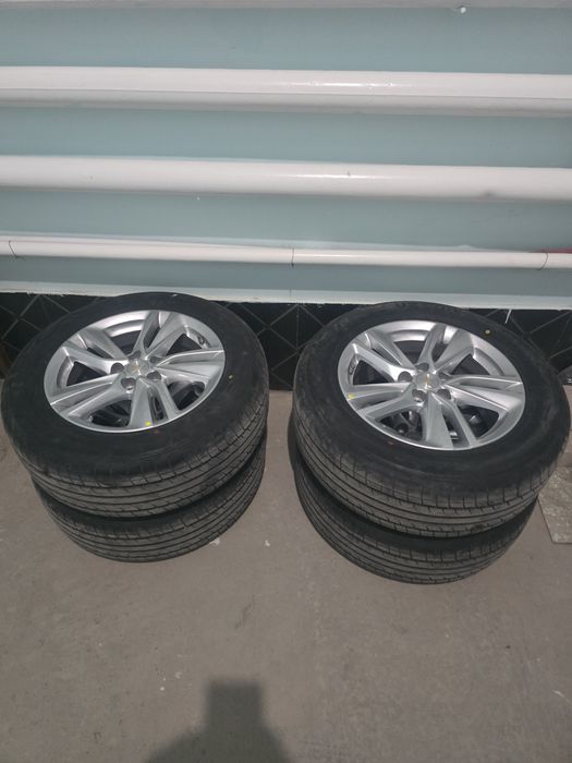 Холати янги турибди