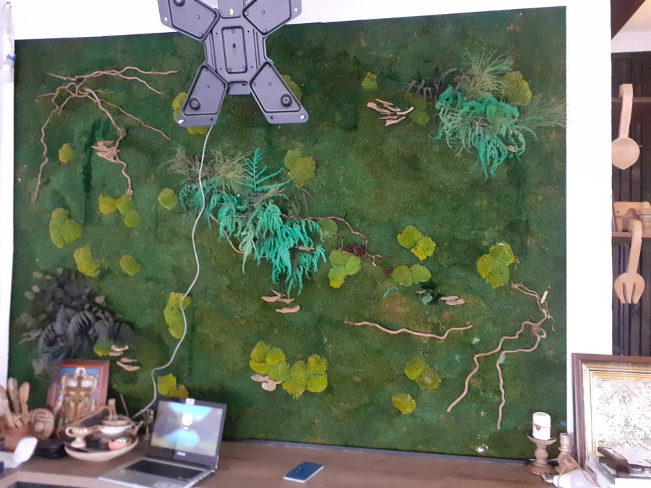 vand tablou de dimensiune mare cu muschi verzi si licheni