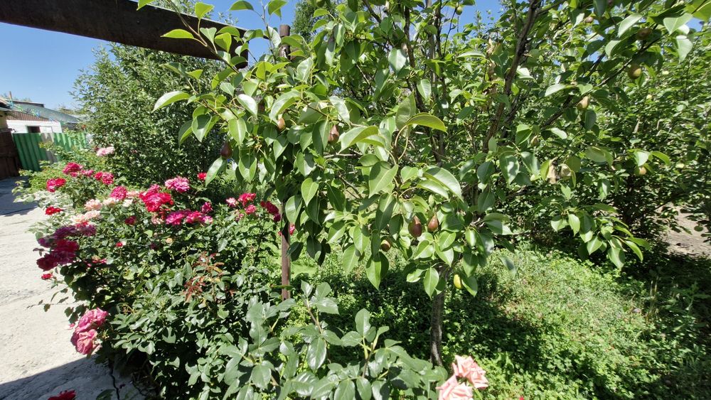 Продается дом.     .