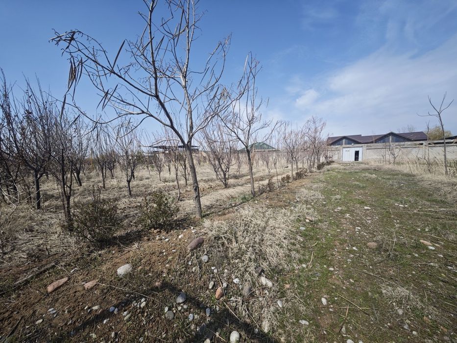 30 sotikli dacha sotiladi srochna suv boyida