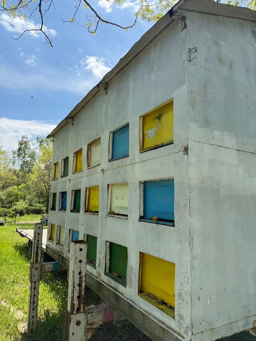 Pavilion apicol 36 de lăzi în pat cald pe 18 rame (se vinde fară lăzi)