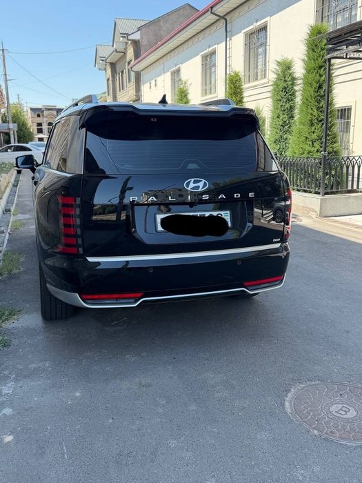 Hyundai palisade calligraphy full