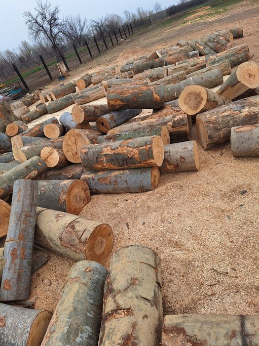 Lemn de foc paletizat posch. Giurgiu-Bucuresti-ilfov